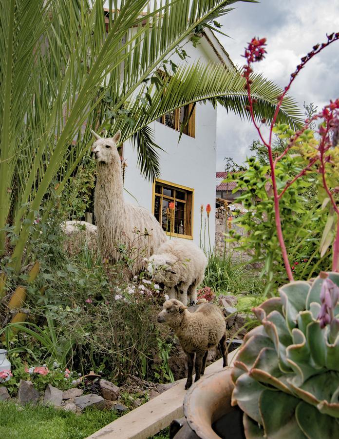 Inkita Boutique Guesthouse Cuzco Esterno foto